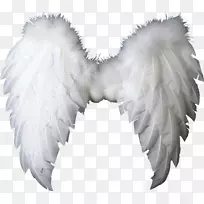 翅膀天使剪贴画-翅膀PNG-空若网 翅膀天使剪贴画-翅膀PNG-空若网