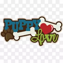 С������������С����������-���ҵļ���-������