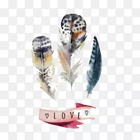 羽毛水彩画帆布印花羽毛-空若网 羽毛水彩画帆布印花羽毛-空若网