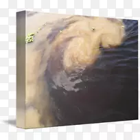 画画框-亚马孙河-空若网 画画框-亚马孙河-空若网