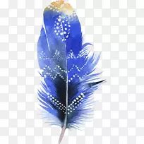 ÄñÓðË®²Ê».Óðë-¿ÕÈôÍø ÄñÓðË®²Ê».Óðë-¿ÕÈôÍø