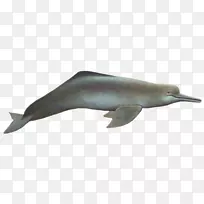 ͼ����๶���Ұ������-����ѷ��-������