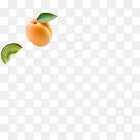 ������ʳƷ��Ƥ��ȻʳƷ����-������