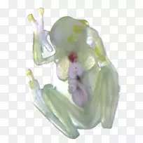 ���ܲ��������ܺ�����-����-������