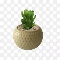 花盆陶瓷园瓷手绘草-空若网 花盆陶瓷园瓷手绘草-空若网