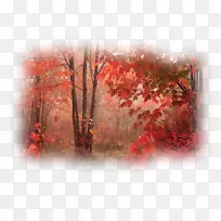 阿凡达动物-秋季森林-空若网 阿凡达动物-秋季森林-空若网