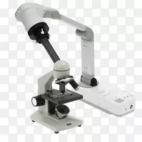 �ļ��������������ý��ͶӰ��.�����-������