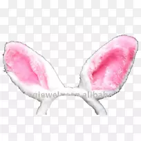 兔耳兔耳-空若网 兔耳兔耳-空若网