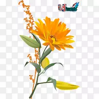 蜜蜂授粉普通向日葵-3D PNG-空若网 蜜蜂授粉普通向日葵-3D PNG-空若网