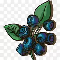 ��ݮ������ͼ.���Ƶ���ݮ-������