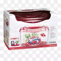 暹罗斗鱼水族馆黑根码头0.5加仑贝塔伙伴包金鱼-勃艮第兰花-空若网 暹罗斗鱼水族馆黑根码头0.5加仑贝塔伙伴包金鱼-勃艮第兰花-空若网