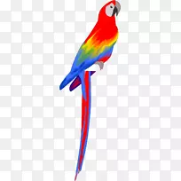 ½ð¸ÕÓð×ìðÐðijá°ò²Êºç·-¿ÕÈôÍø ½ð¸ÕÓð×ìðÐðijá°ò²Êºç·-¿ÕÈôÍø