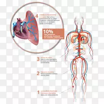 ѭ��ϵͳ�����Ӱ.���-������