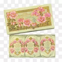 花色设计粉红m长方形肥皂盒-空若网 花色设计粉红m长方形肥皂盒-空若网