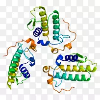 ���������л����߼�������-������