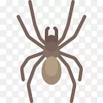 昆虫计算机图标西伯利亚哈士奇动物剪贴画.昆虫-空若网 昆虫计算机图标西伯利亚哈士奇动物剪贴画.昆虫-空若网