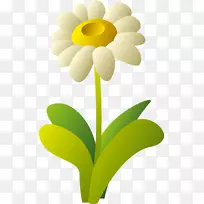 ���տ�-������