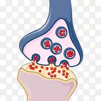 ͻ����ϵͳ�񾭿�ѧ��Ԫ��������-������