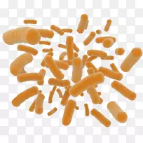 益生菌膳食补充剂保健营养益生菌粉-空若网 益生菌膳食补充剂保健营养益生菌粉-空若网