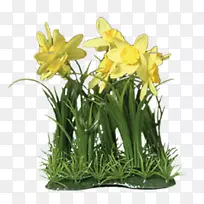 ��������л���������-��-������