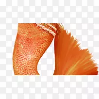 摄影制图图形设计.海洋垃圾-空若网 摄影制图图形设计.海洋垃圾-空若网