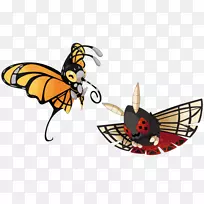 帝王蝶,刷足蝴蝶,昆虫蝴蝶-空若网 帝王蝶,刷足蝴蝶,昆虫蝴蝶-空若网