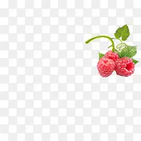 ��ݮ����ݮ�������ӹ�ʵ-������