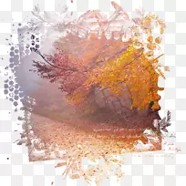 摄影剪贴画-空若网 摄影剪贴画-空若网