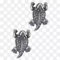 海龟身饰-海龟-空若网 海龟身饰-海龟-空若网