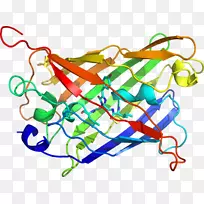 �ߵ������-��-������