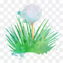 ¸ß¶û·òÇò¸ËË®²Ê»-¸ß¶û·ò-¿ÕÈôÍø ¸ß¶û·òÇò¸ËË®²Ê»-¸ß¶û·ò-¿ÕÈôÍø