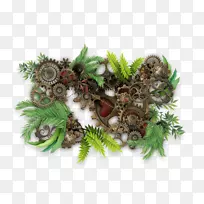 树-明日-空若网 树-明日-空若网