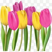 �����㻨ͼ-˫ɫ������-������