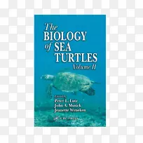 海龟生物学-空若网 海龟生物学-空若网