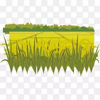 ˮ���ջ���-������