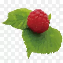 ²ÝÝ®ºì¸²Åè×Ó-¿ÕÈôÍø ²ÝÝ®ºì¸²Åè×Ó-¿ÕÈôÍø