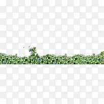 �ݱ�ֲ��-������