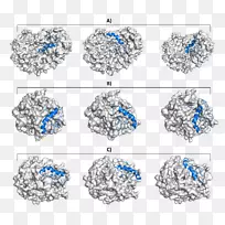 人体珠宝线字体.体外受精-空若网 人体珠宝线字体.体外受精-空若网
