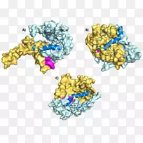 人体珠宝字体.体外受精-空若网 人体珠宝字体.体外受精-空若网