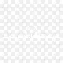 ��ɫ����-ʥ·��˹-������