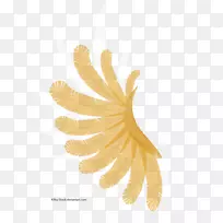 近身白色翅膀-空若网 近身白色翅膀-空若网