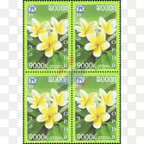 开花植物-红花李子-空若网 开花植物-红花李子-空若网