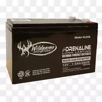 电动电池vrla电池铅酸电池充电电池伏特可充电电池-空若网 电动电池vrla电池铅酸电池充电电池伏特可充电电池-空若网