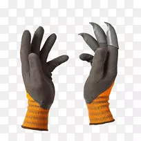 ��������Ա-צ��-������