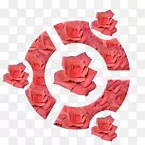 Ubuntu linux发行版安装-企鹅-空若网 Ubuntu linux发行版安装-企鹅-空若网