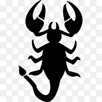 蝎子安卓星座-蝎子-空若网 蝎子安卓星座-蝎子-空若网