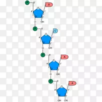 直线点角线-空若网 直线点角线-空若网