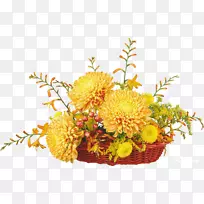 菊花切花-菊花-空若网 菊花切花-菊花-空若网