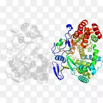 ������Ϊʳ���������-������