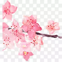 ·Ûºìɫӣ»¨Ë®²Ê»-·ÛºìÉ«ÊÖ»æË®²Ê»Ó£»¨-¿ÕÈôÍø ·Ûºìɫӣ»¨Ë®²Ê»-·ÛºìÉ«ÊÖ»æË®²Ê»Ó£»¨-¿ÕÈôÍø